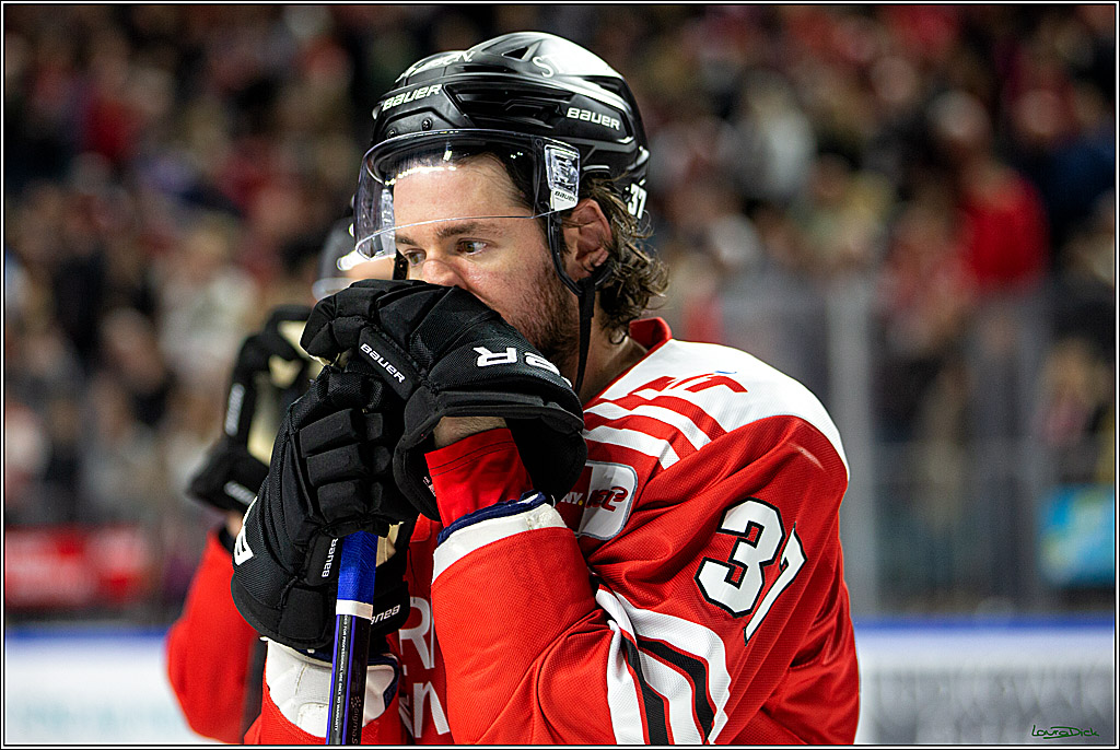 PENNY DEL; Koelner Haie-Adler Mannheim; Koeln, 26.03.2023